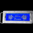 belt buckle