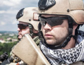 That seals it! The 7 most famous, nonhazmat-related seals
